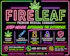 Fire Leaf - Guthrie