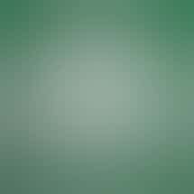 Green Buddha Cannabis Co- Recreational