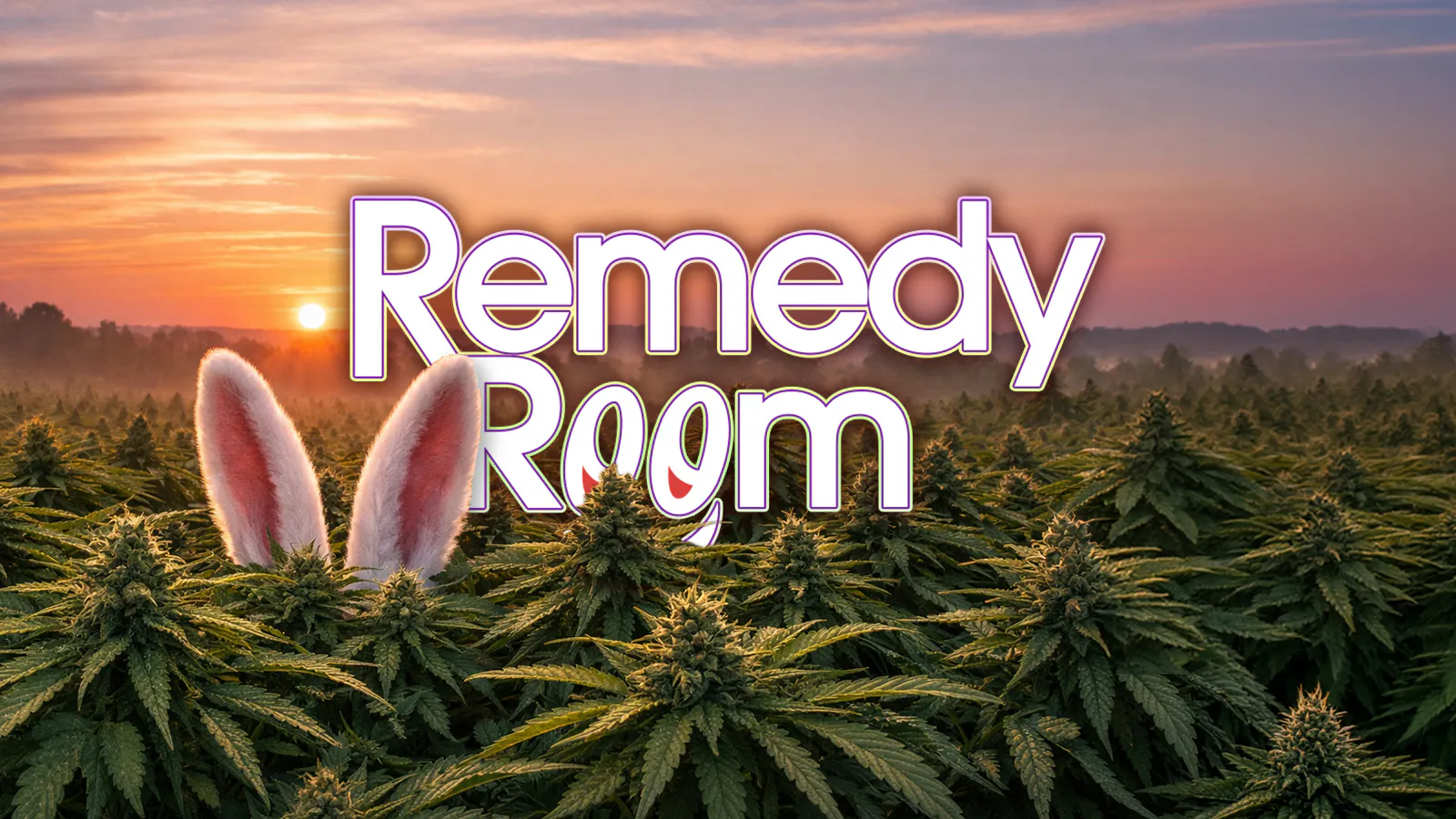 Remedy Room listing banner