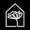 Wallflower Cannabis House