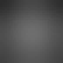 Wallflower Cannabis House