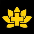 Lotus Gold - Nicoma Park