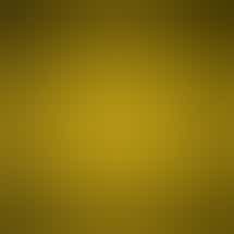 Lotus Gold - Nicoma Park