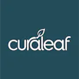 Curaleaf Weed Street
