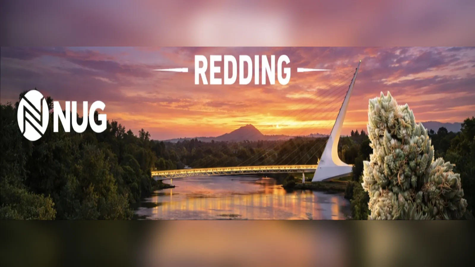 NUG x Sundial listing banner