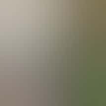 Lucky Lion Weed Dispensary Powell