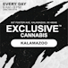 Exclusive Cannabis - Kalamazoo Recreational