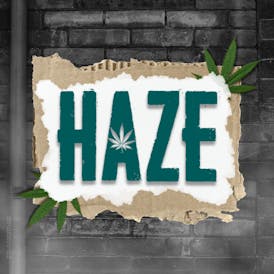 HAZE - All Taxes Included