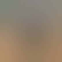 Higher Limits Cannabis Company - Blenheim