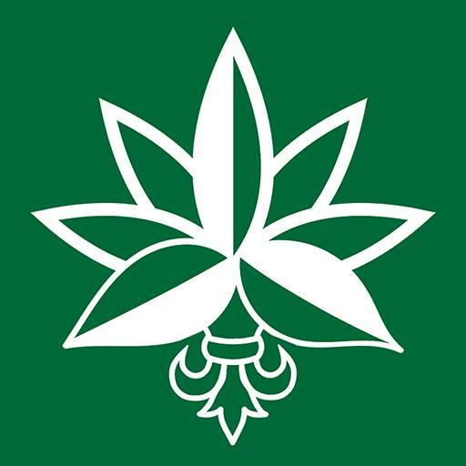 Bonjour High Cannabis Co - 299 Main St. East