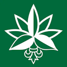 Bonjour High Cannabis Co - 299 Main St. East