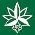 Bonjour High Cannabis Co - 299 Main St. East