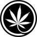 Calyx + Trichomes - Midland Ave