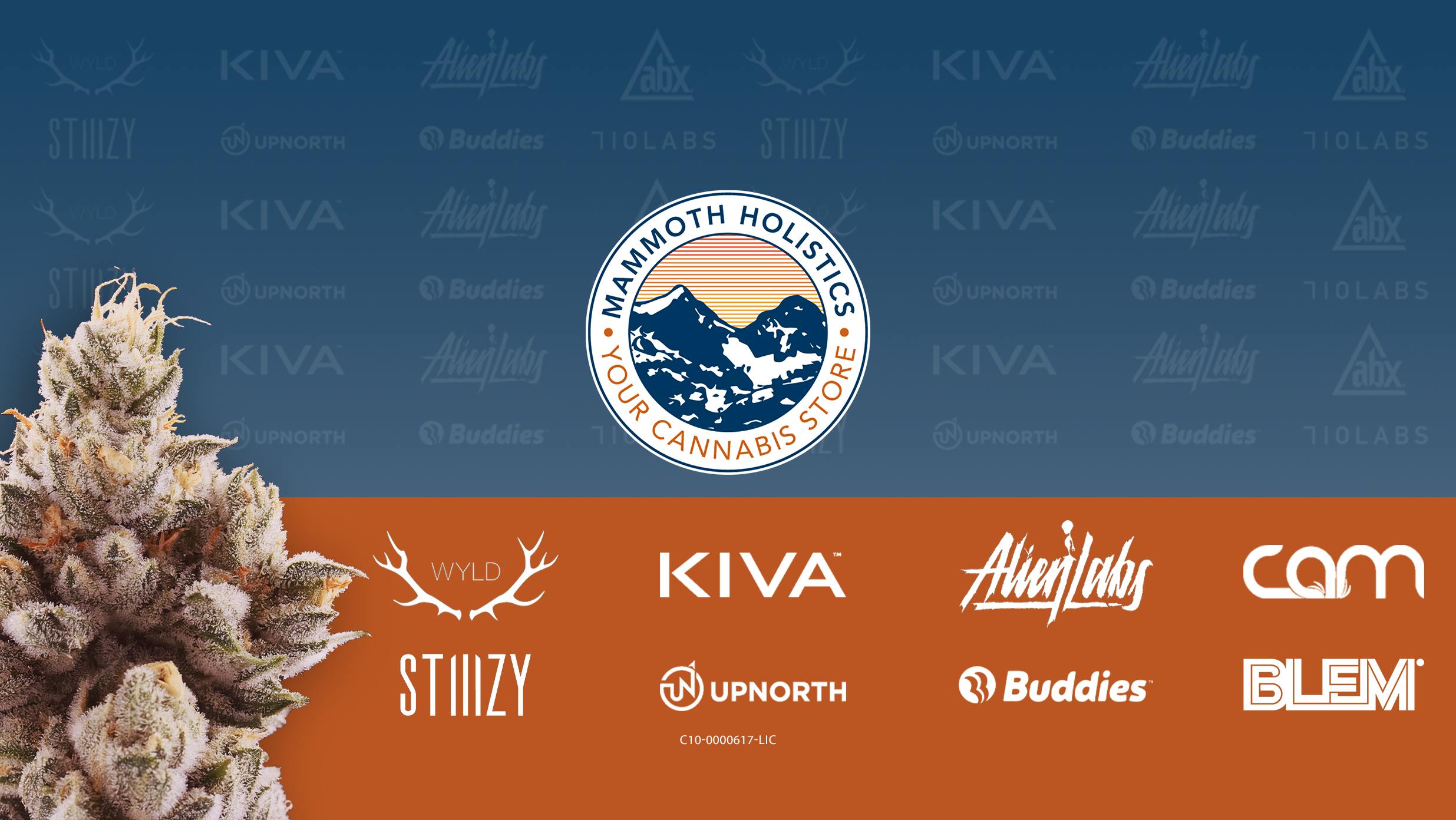 Mammoth Holistics Dispensary | Mammoth Lakes listing banner