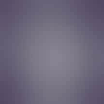 SeaWeed Co - South Portland