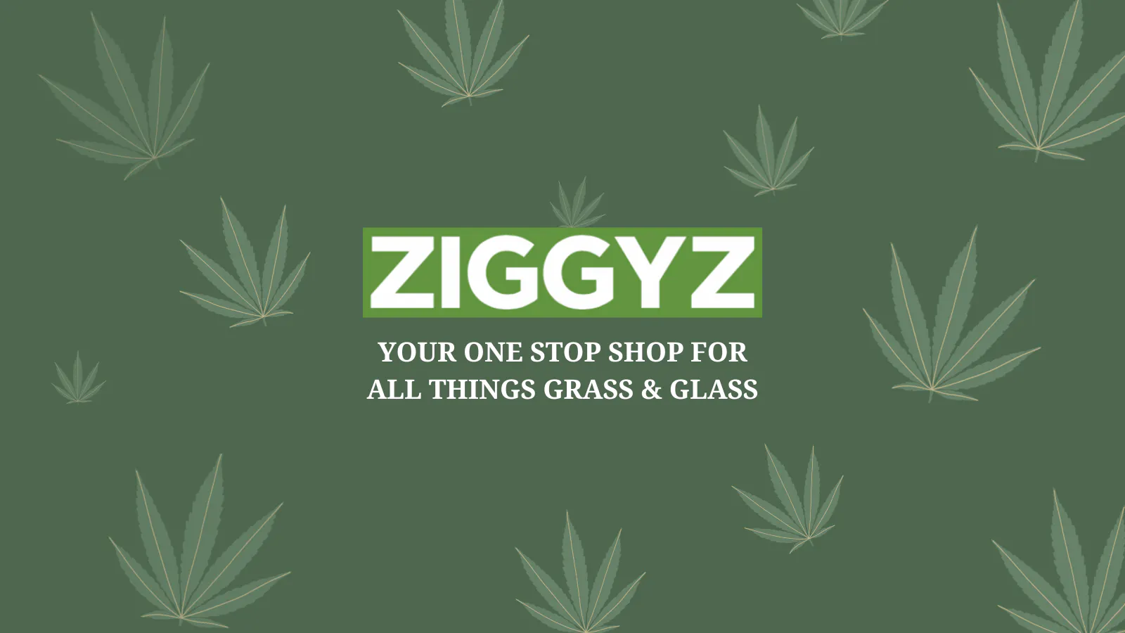ZIGGYZ PLUS - Yukon listing banner