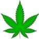 Mind-Full The Cannabis Store - 118 Ave NW