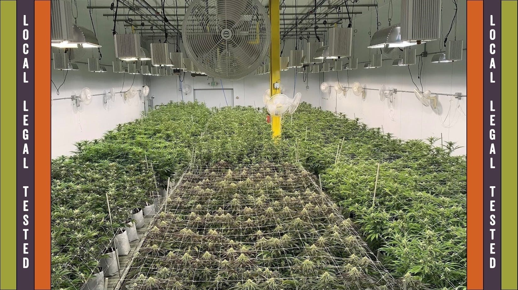 Canuvo Recreational Dispensary - Biddeford listing banner