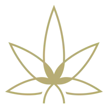 HiQ Cannabis
