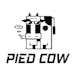 Pied Cow