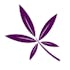 Little Leaf Cannabis Co.