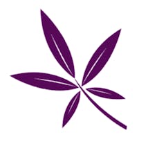 Little Leaf Cannabis Co.