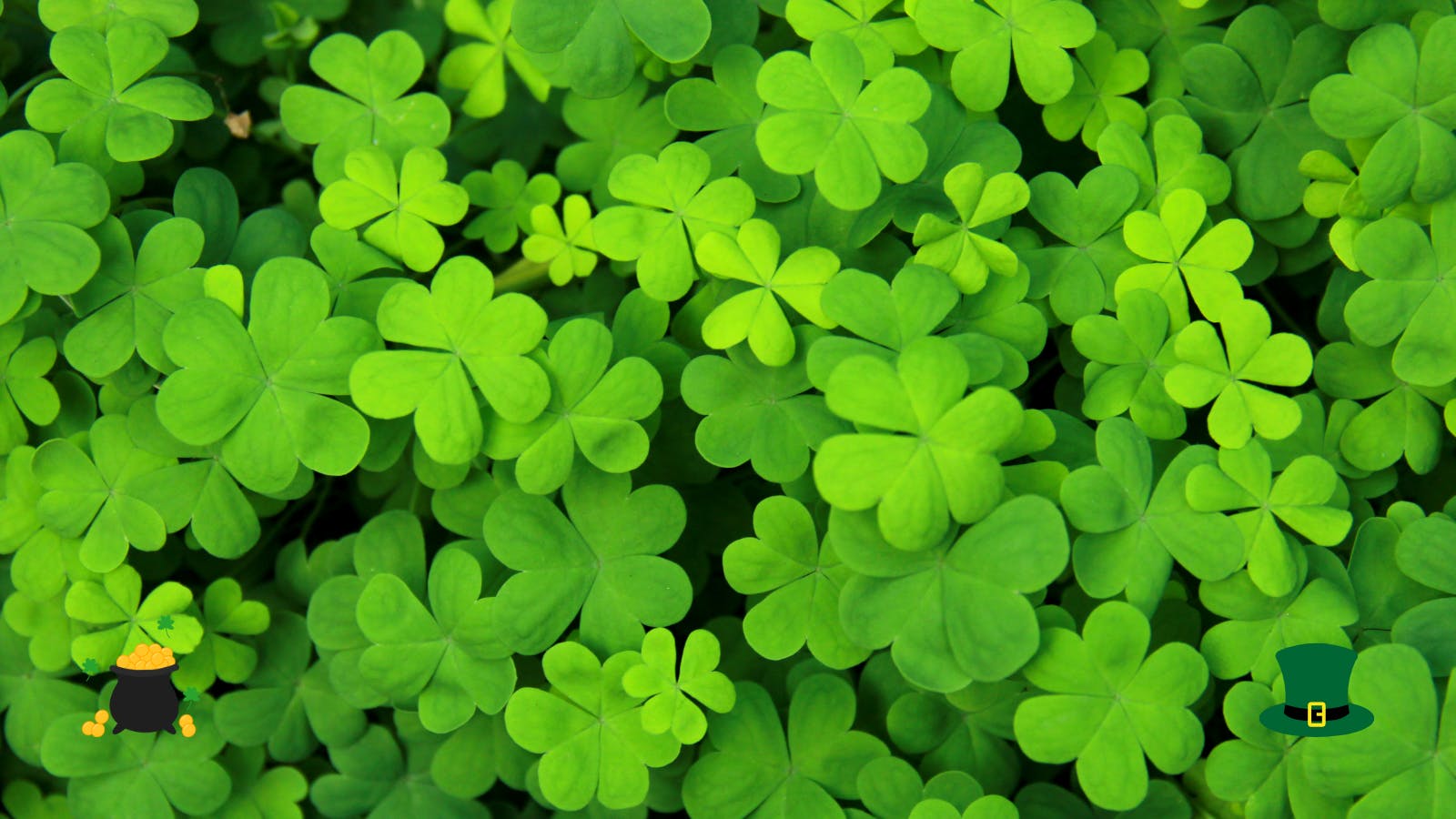 Marks Organix Inc listing banner