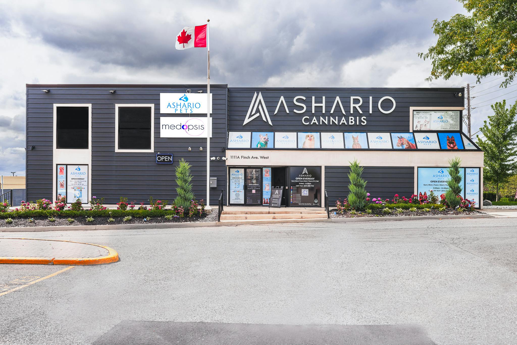 ASHARIO CANNABIS - North York - Dufferin & Finch listing banner