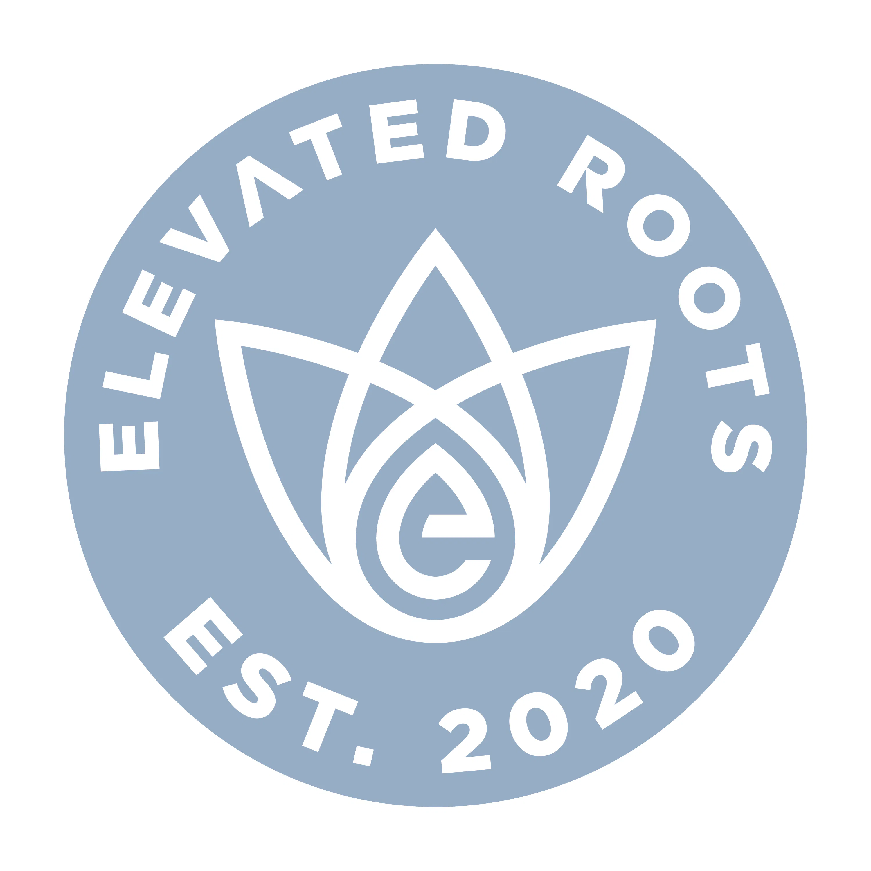 Elevated Roots - Kingston