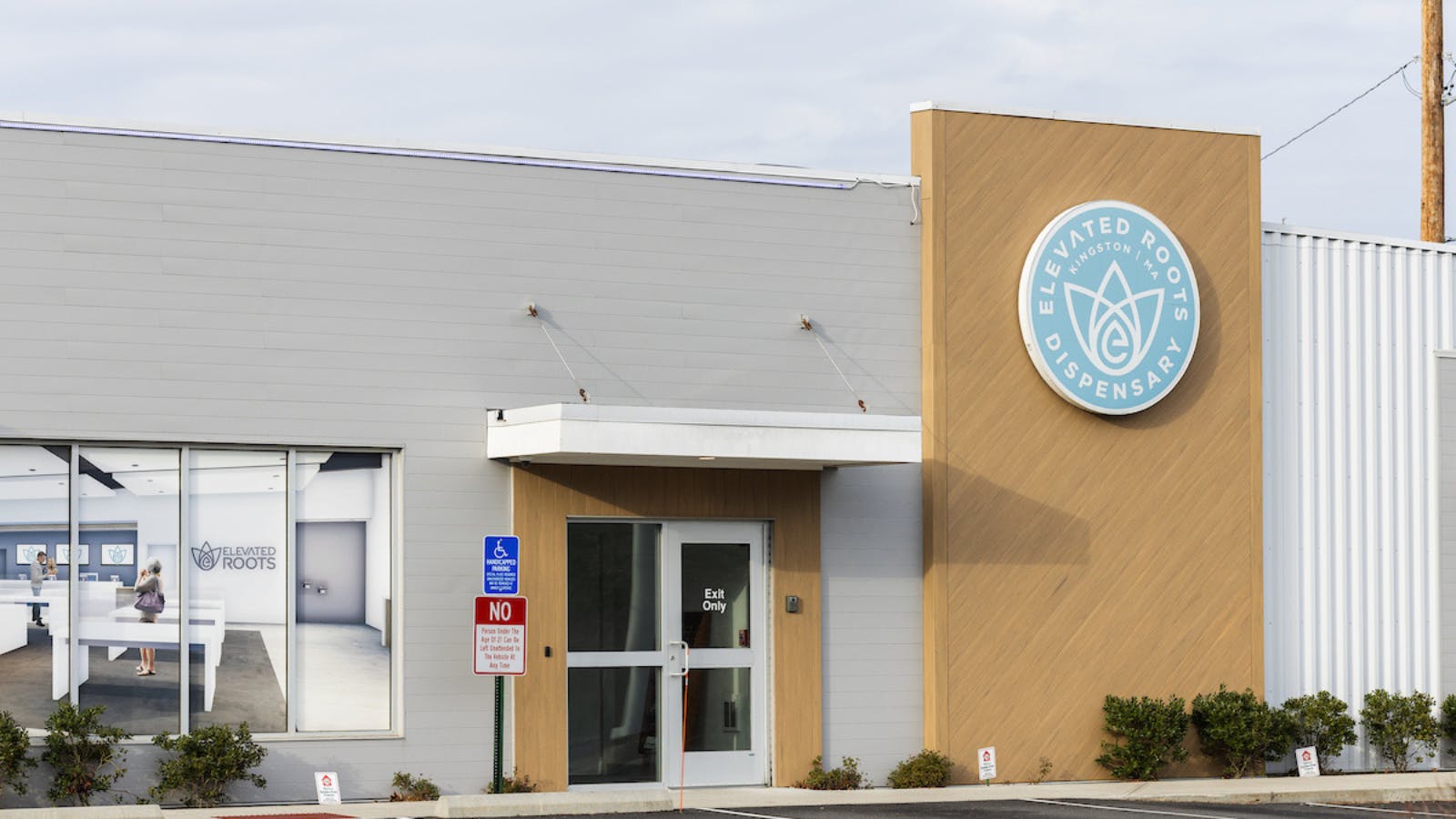 Elevated Roots - Kingston listing banner