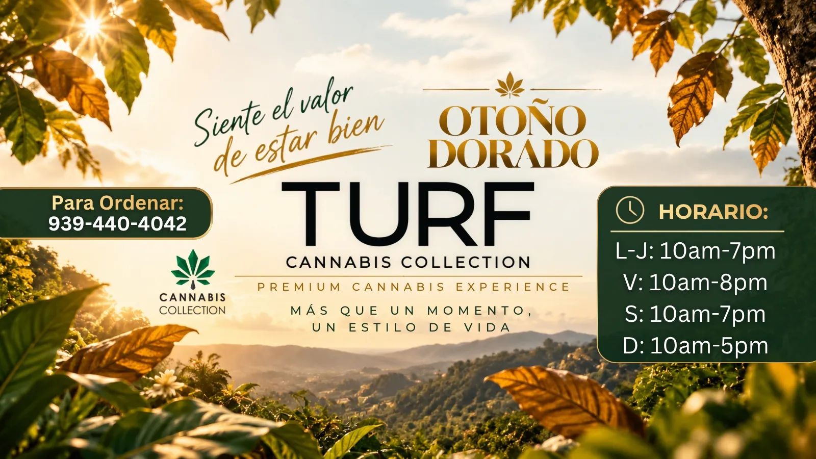 Turf Cannabis Collection listing banner