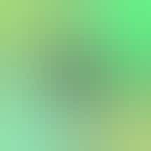 West Paris Provisions