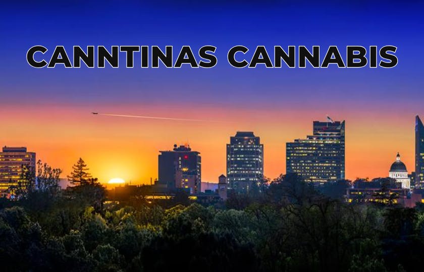 Canntinas listing banner