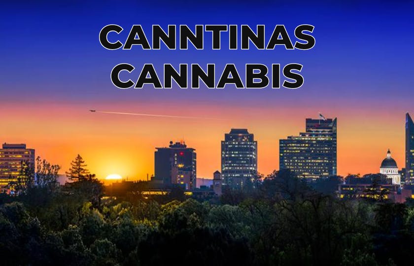 Canntinas listing banner