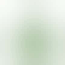 NEKU Cannabis - Stoney Creek