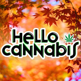 Hello Cannabis - Vista