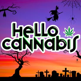 Hello Cannabis - Vista