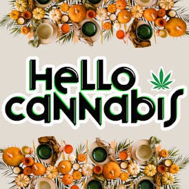 Hello Cannabis - Vista