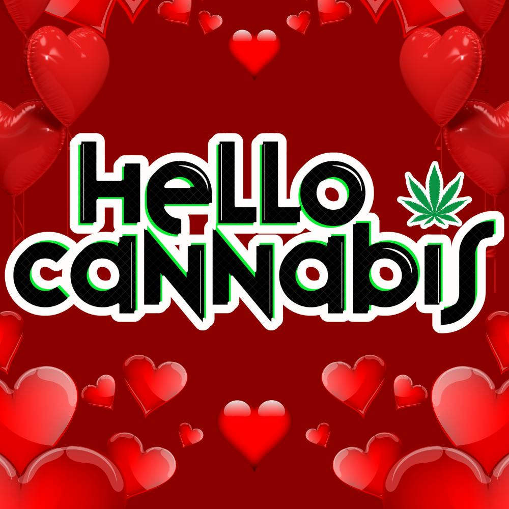 Hello Cannabis - Vista