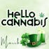 Hello Cannabis - Vista