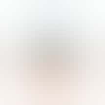 Little House Cannabis - 307 Wellesley St E