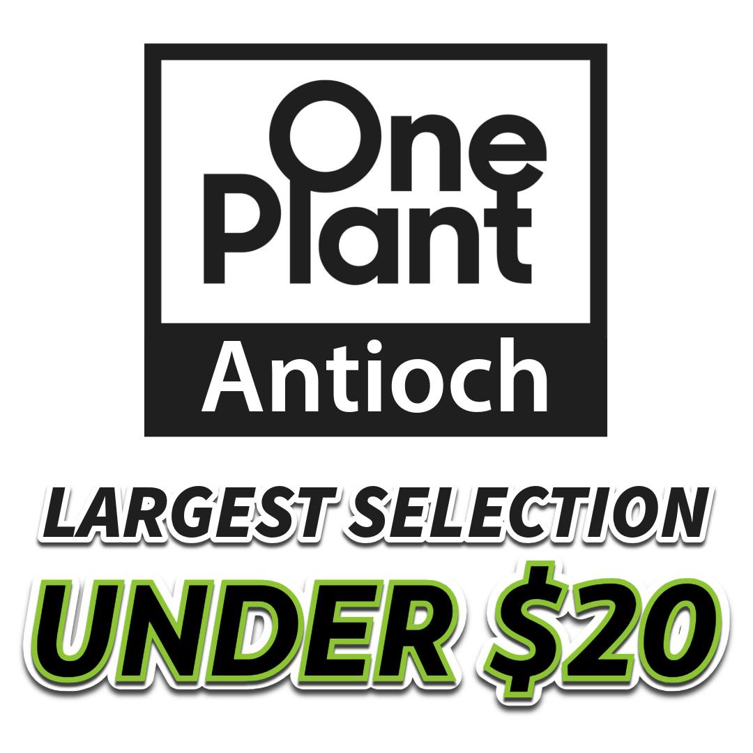 One Plant Antioch