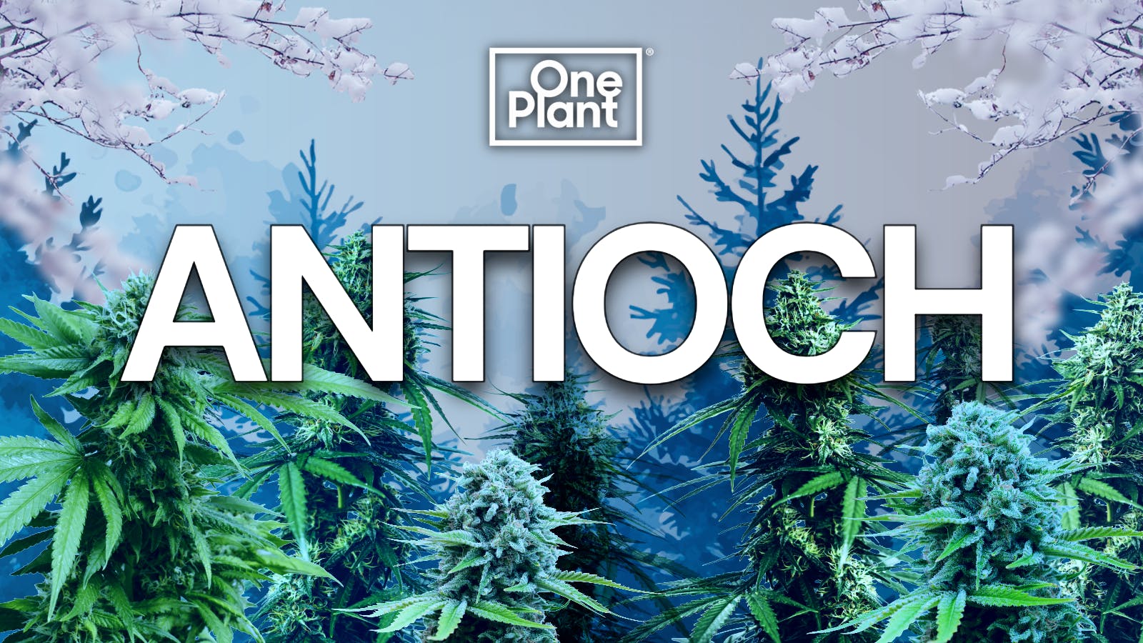 One Plant Antioch listing banner