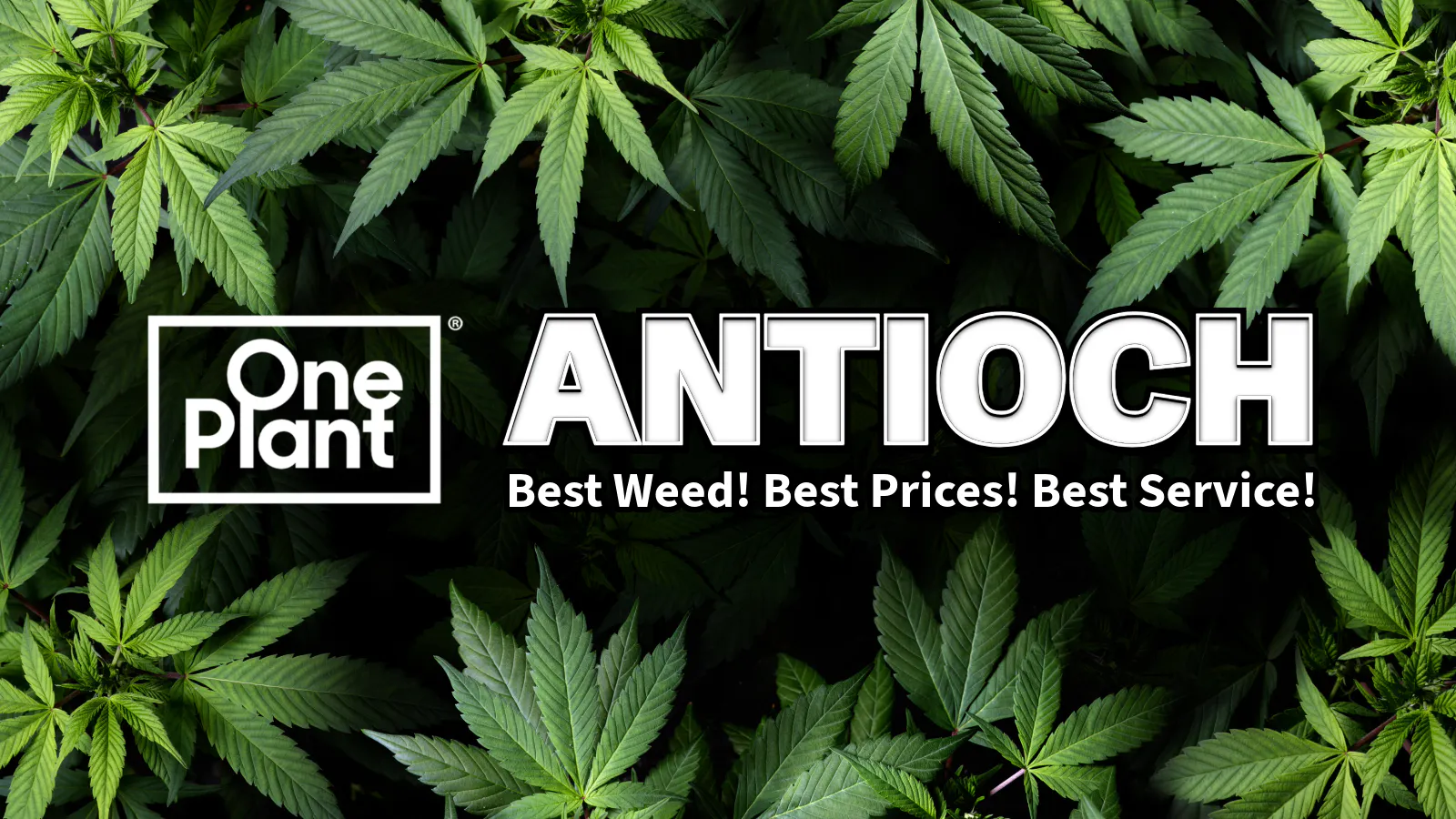 One Plant Antioch listing banner