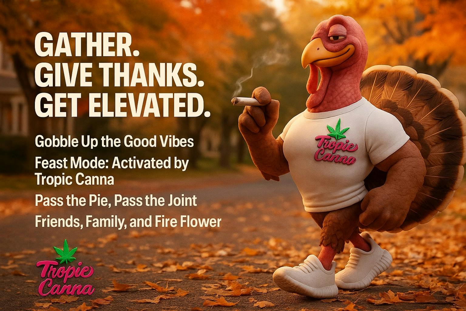 Tropic Canna - Duncan listing banner