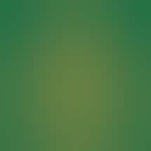 The Cannabist Shop - King W