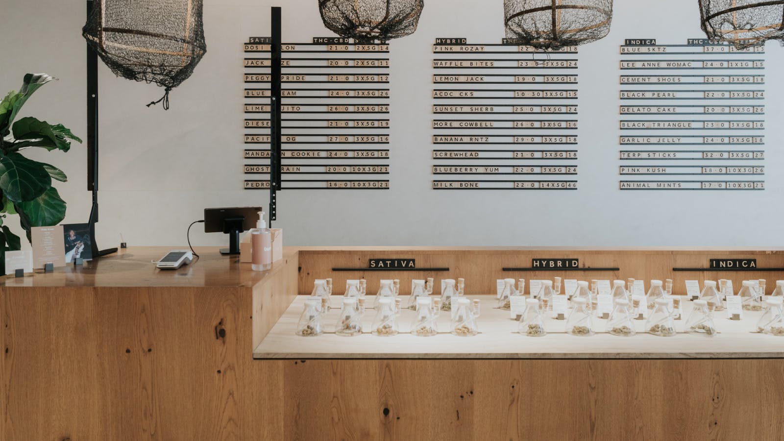 Burb - Poco Place listing banner