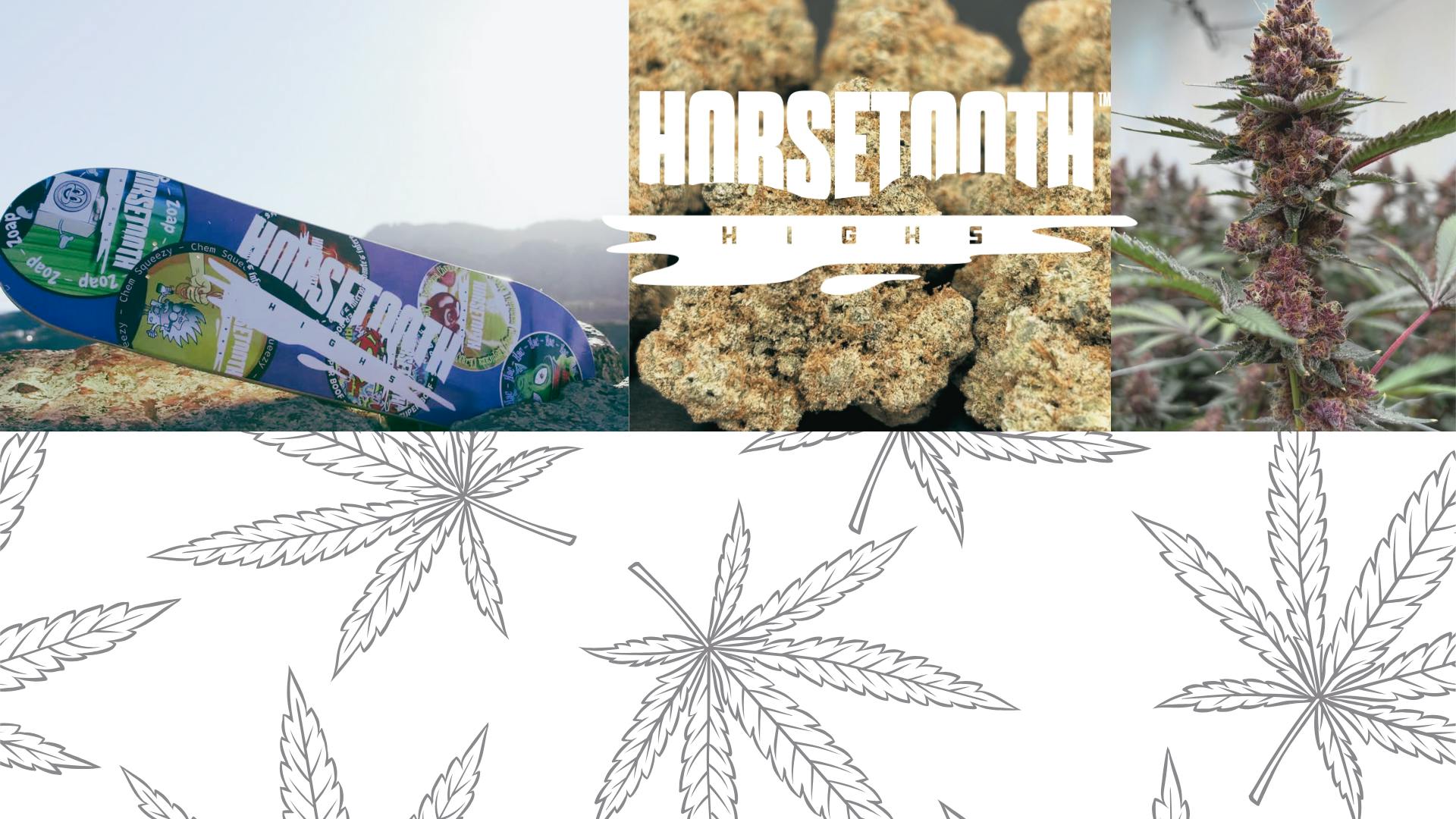 Flower Power Botanicals listing banner