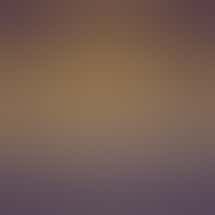 affx Cannabis - Upper Paradise