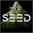 Seed
